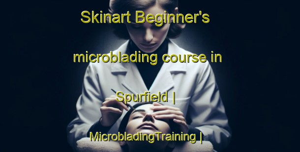Skinart Beginner's microblading course in Spurfield | MicrobladingTraining | MicrobladingClasses | SkinartTraining-Canada